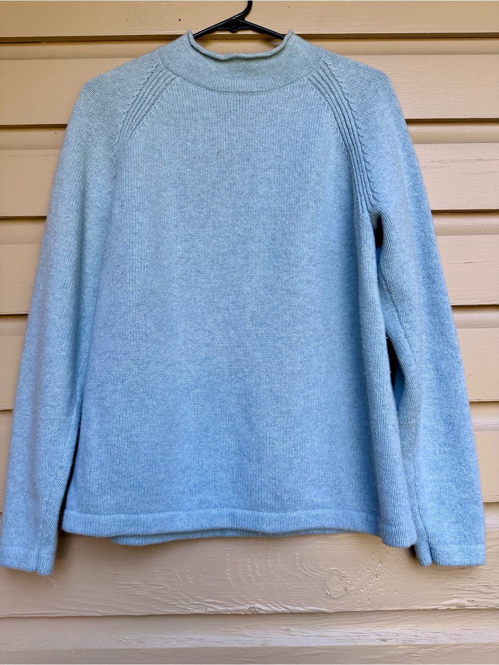 JCrew Always Roll Neck Sweater Light Blue Wool Nylon Size Large